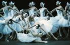 芭蕾舞团的阵容　如何欣赏芭蕾?