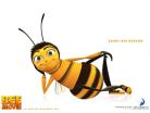 ʚɞ《蜜蜂总动员》