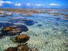 大堡礁 Cairns, Australia