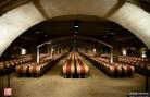 Napa Valley 加州葡萄酒之乡 酒窖