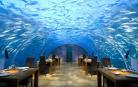 世上第一家水下玻璃餐厅　Ithaa餐厅