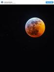 温哥华的「超级血狼月」美丽耀眼