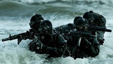 美国「海豹突击队」 SEALS
