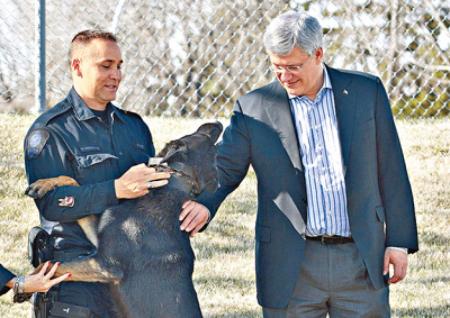 加拿大保护公务犬新法案 「打狗看主人」杀警犬者最少囚6个月