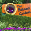 世界级花园 The Butchart Gardens 宝翠花园