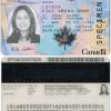 加拿大永久居民出境须刷枫叶卡 (旧版) 