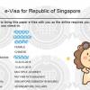 ✪ 申请新加坡旅游电子签证 Machine Readable Zone ID填写