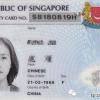 新加坡永久居民身份证
